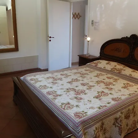 Pet-friendly Getaway, *