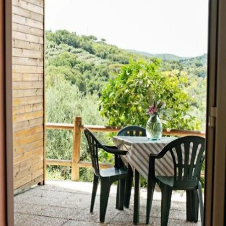 Pet-friendly Getaway, *