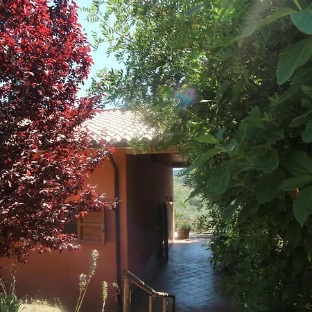 Pet-friendly Getaway, Vakantiehuis Castagneto Carducci