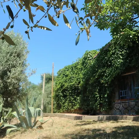 Pet-friendly Getaway, Vakantiehuis *
