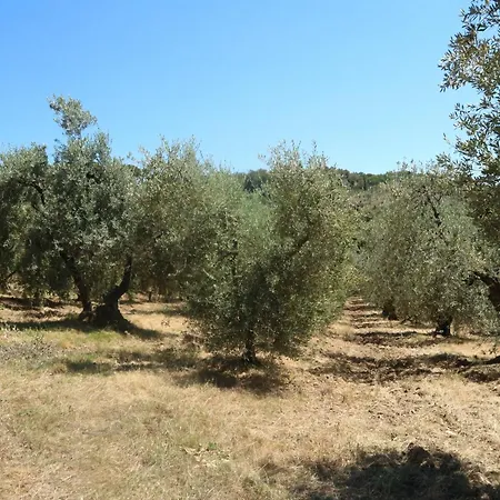 بيت للعطل Pet-friendly Getaway,